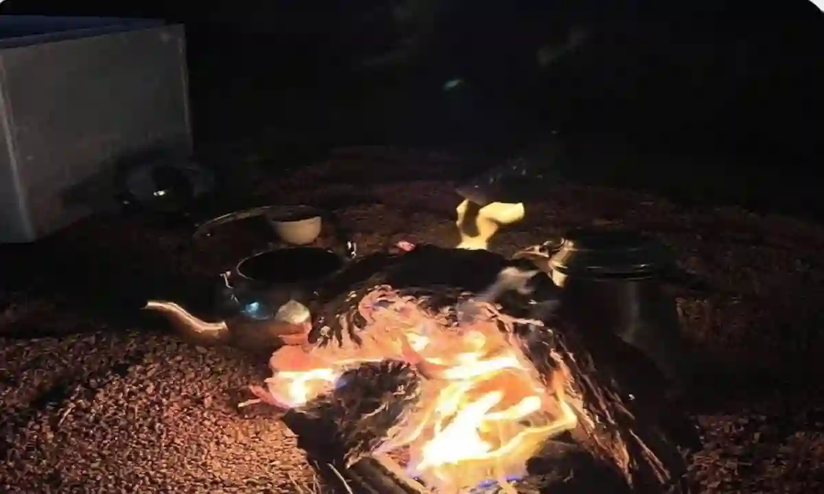 الأمن البيئي